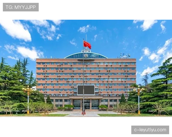 规则拆解型：足球裁判手势都代表什么含义？一次看懂常见信号规范